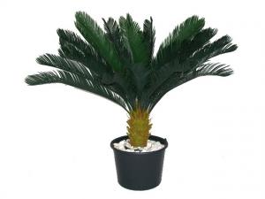 Arreslee verhuur